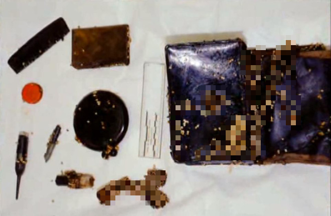 Vụ án thai phụ trong thùng phuy: Cô gái đến Mỹ tìm tương lai và kết cục bi thảm 30 năm không ai biết vì mối quan hệ ngoài luồng với ông chủ