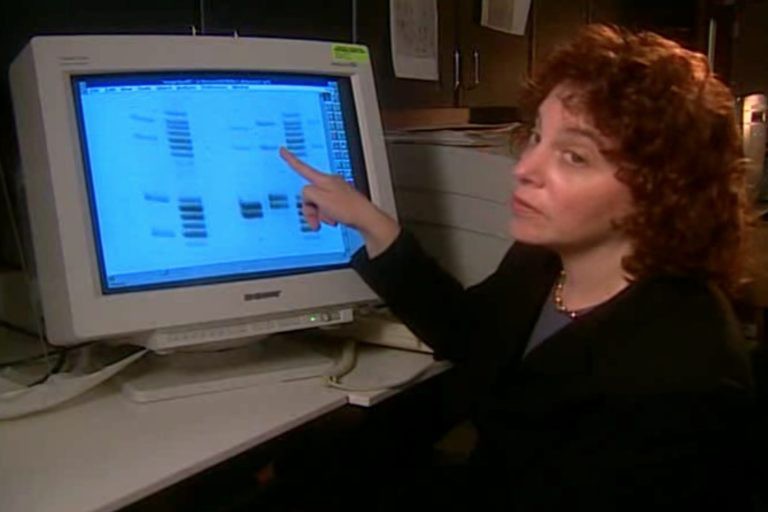 Vụ án thai phụ trong thùng phuy: Cô gái đến Mỹ tìm tương lai và kết cục bi thảm 30 năm không ai biết vì mối quan hệ ngoài luồng với ông chủ