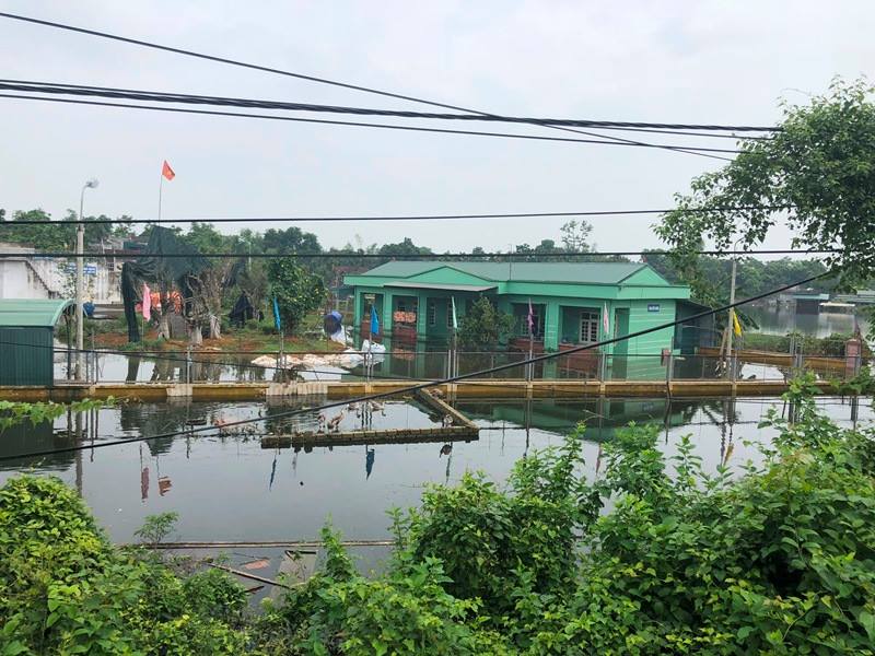 Sạt đê bối, người Hà Nam chèo thuyền chẳng khác gì Chương Mỹ Sạt đê bối, người Hà Nam chèo thuyền chẳng khác gì Chương Mỹ