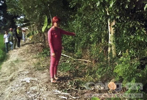 Thiếu nữ 14 tuổi vạch kế hoạch giết người cướp xe