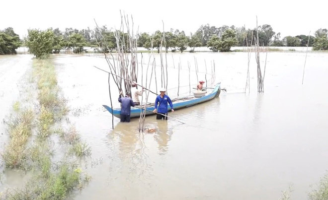 Vỡ đập thủy điện ở Lào khiến lũ về sớm, dân miền Tây vừa mừng vừa lo