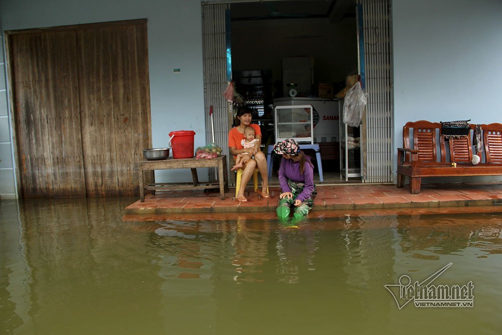 Video Rốn lũ Quốc Oai: Thỏa sức chèo thuyền, bơi lội vẫy vùng khắp đường làng