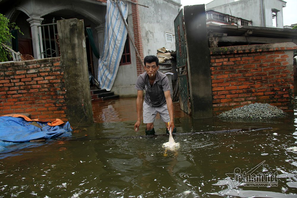 Video Rốn lũ Quốc Oai: Thỏa sức chèo thuyền, bơi lội vẫy vùng khắp đường làng