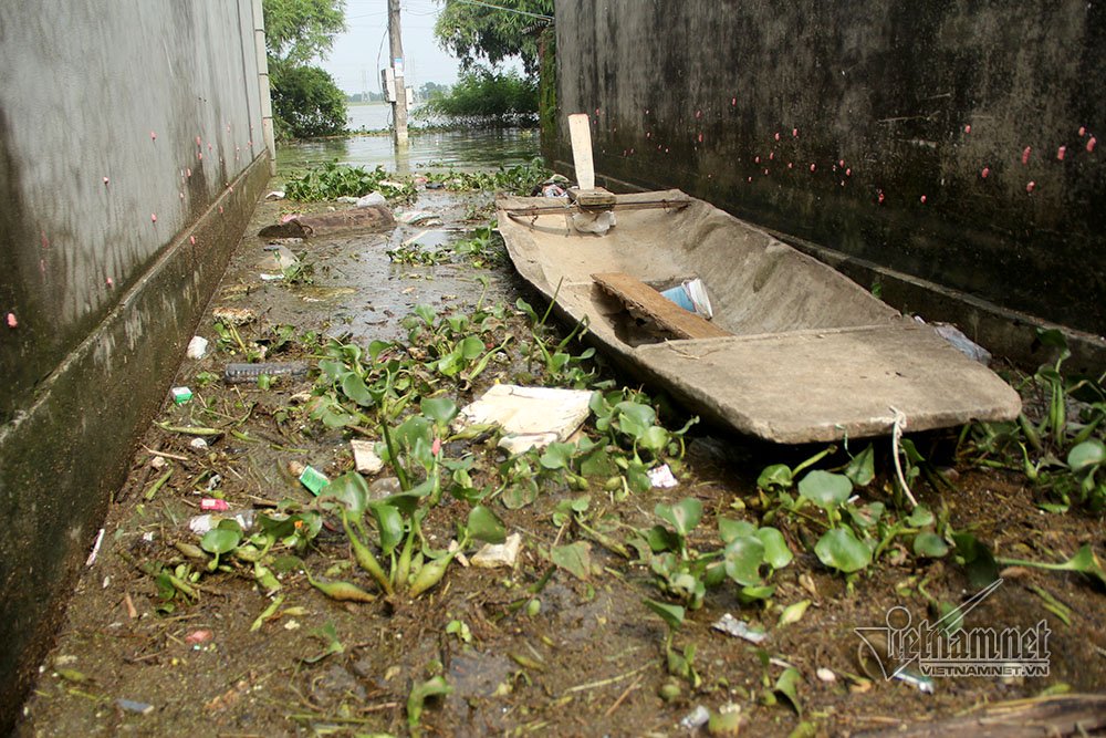 Video Rốn lũ Quốc Oai: Thỏa sức chèo thuyền, bơi lội vẫy vùng khắp đường làng