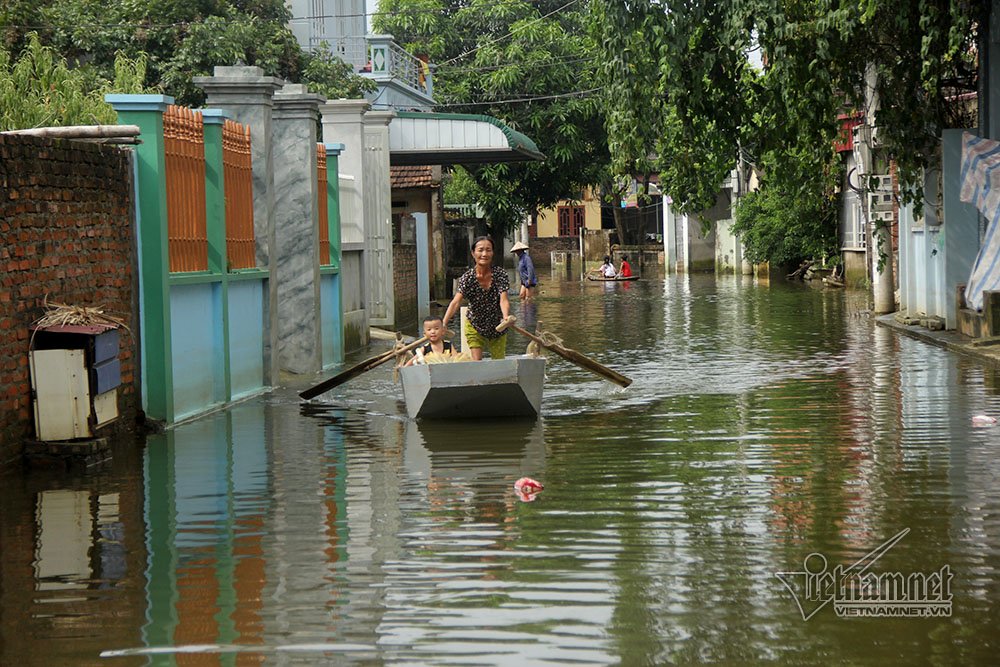 Video Rốn lũ Quốc Oai: Thỏa sức chèo thuyền, bơi lội vẫy vùng khắp đường làng