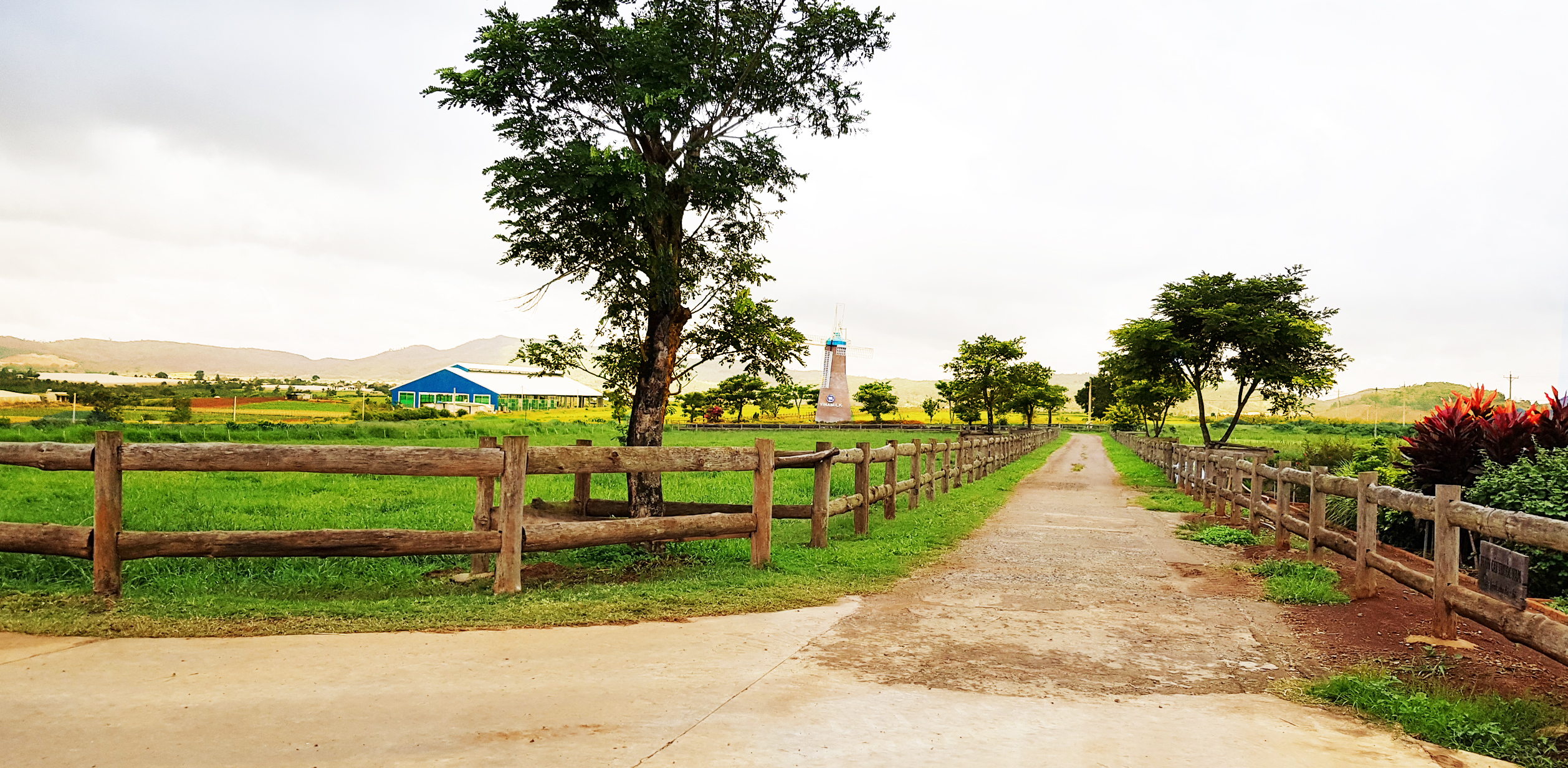 Vinamilk mở rộng đầu tư vào miền Tây Nam Bộ