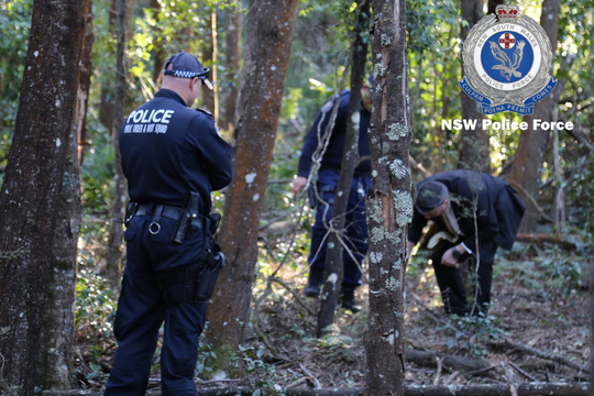 Tìm thấy hài cốt của doanh nhân gốc Việt trong rừng rậm ở Úc