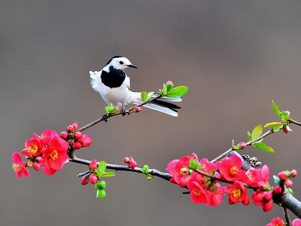 Thứ Bảy của bạn (4/8): Ma Kết thích nơi yên tĩnh Thứ Bảy của bạn (4/8): Ma Kết thích nơi yên tĩnh