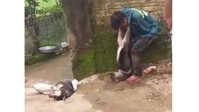 Trộm chó bị người dân bắt trói, đánh đập và treo chó lên cổ