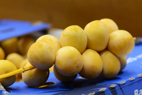 Hơn nửa triệu đồng một kg chà là tươi nguyên cành