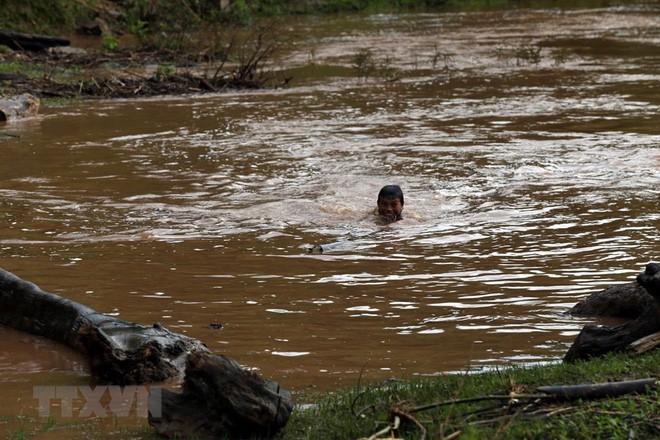 Hình ảnh trẻ em Điện Biên liều mình vớt củi giữa dòng nước lũ