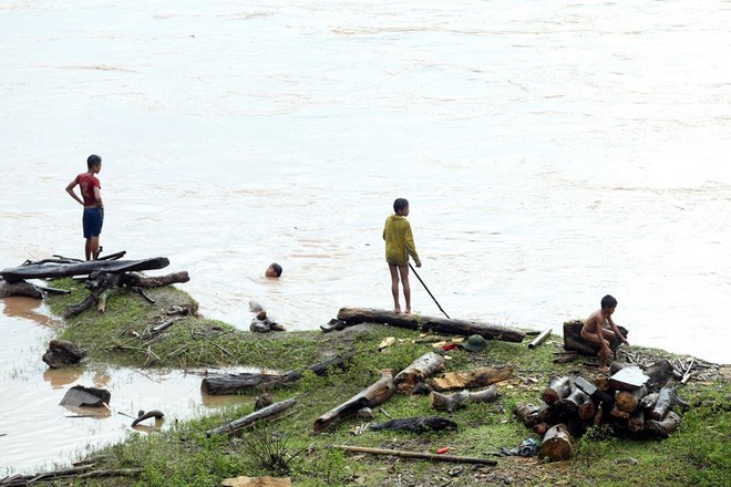 Hình ảnh trẻ em Điện Biên liều mình vớt củi giữa dòng nước lũ