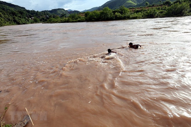 Hình ảnh trẻ em Điện Biên liều mình vớt củi giữa dòng nước lũ