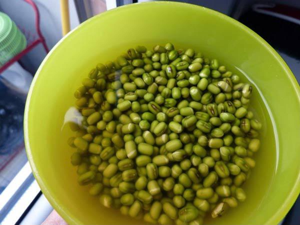 Cách làm giá đỗ bằng thùng xốp chỉ 3 ngày sau là có giá sạch ăn đã đời