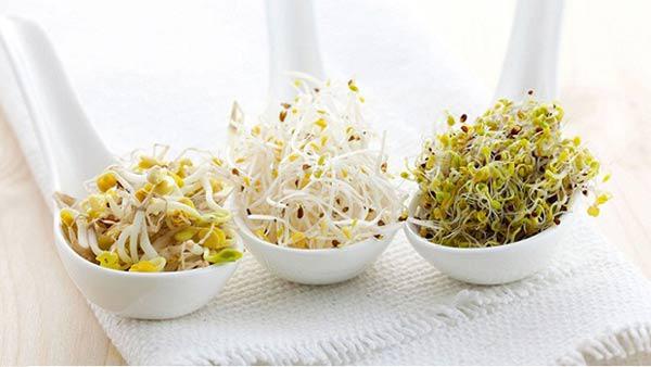 Cách làm giá đỗ bằng thùng xốp chỉ 3 ngày sau là có giá sạch ăn đã đời