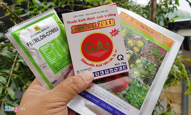 Sự thật việc cây cam bị khoan lỗ, tiêm thuốc kích thích ở miền Tây