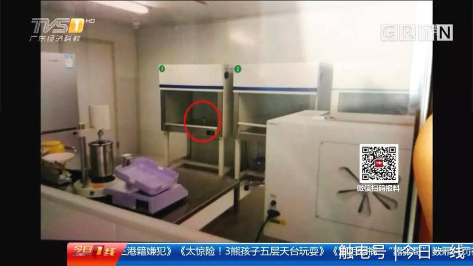 Trung Quốc: Nhiều nữ sinh nhẹ dạ cả tin bị lừa đi... bán trứng