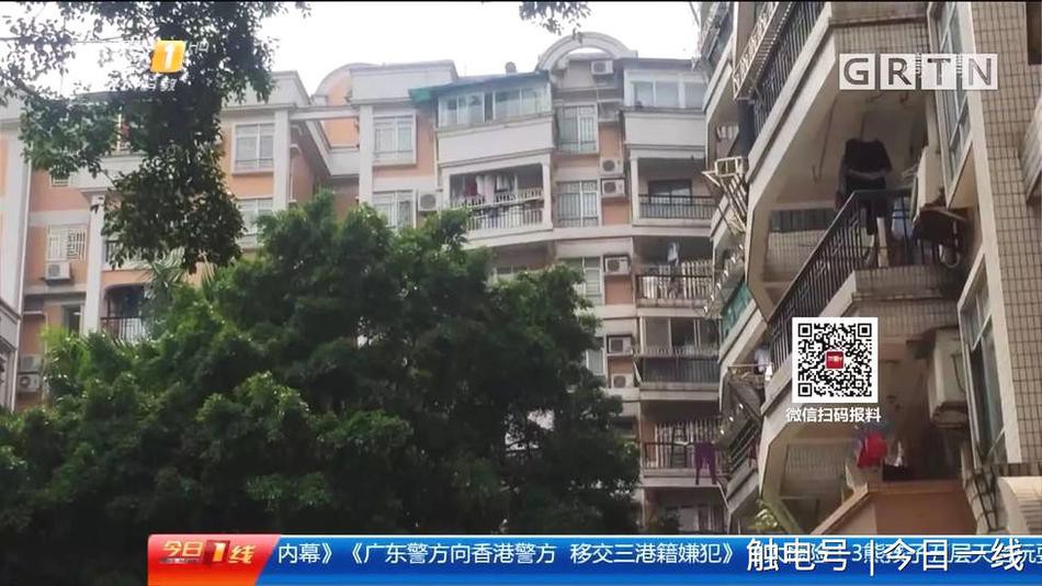 Trung Quốc: Nhiều nữ sinh nhẹ dạ cả tin bị lừa đi... bán trứng