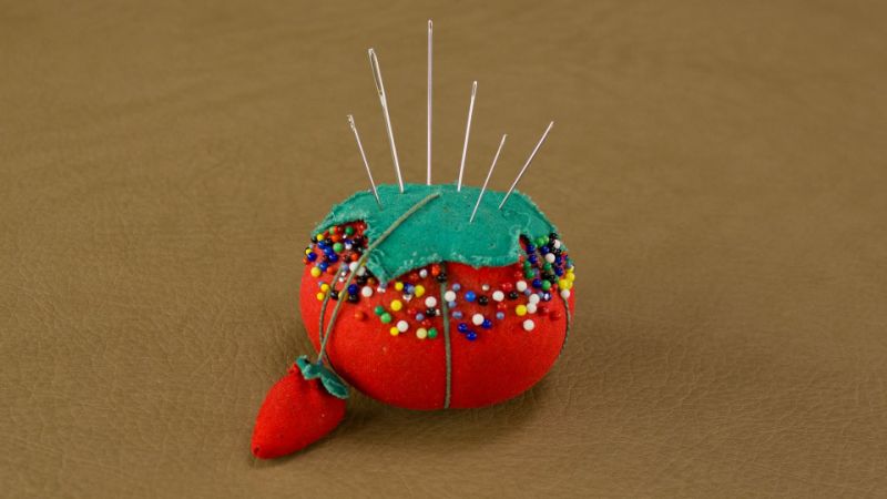 Cho chó ăn 32 cây kim khâu để trả thù, hành động dã man của bà mẹ không ngờ lại bị chính con gái ruột tố cáo