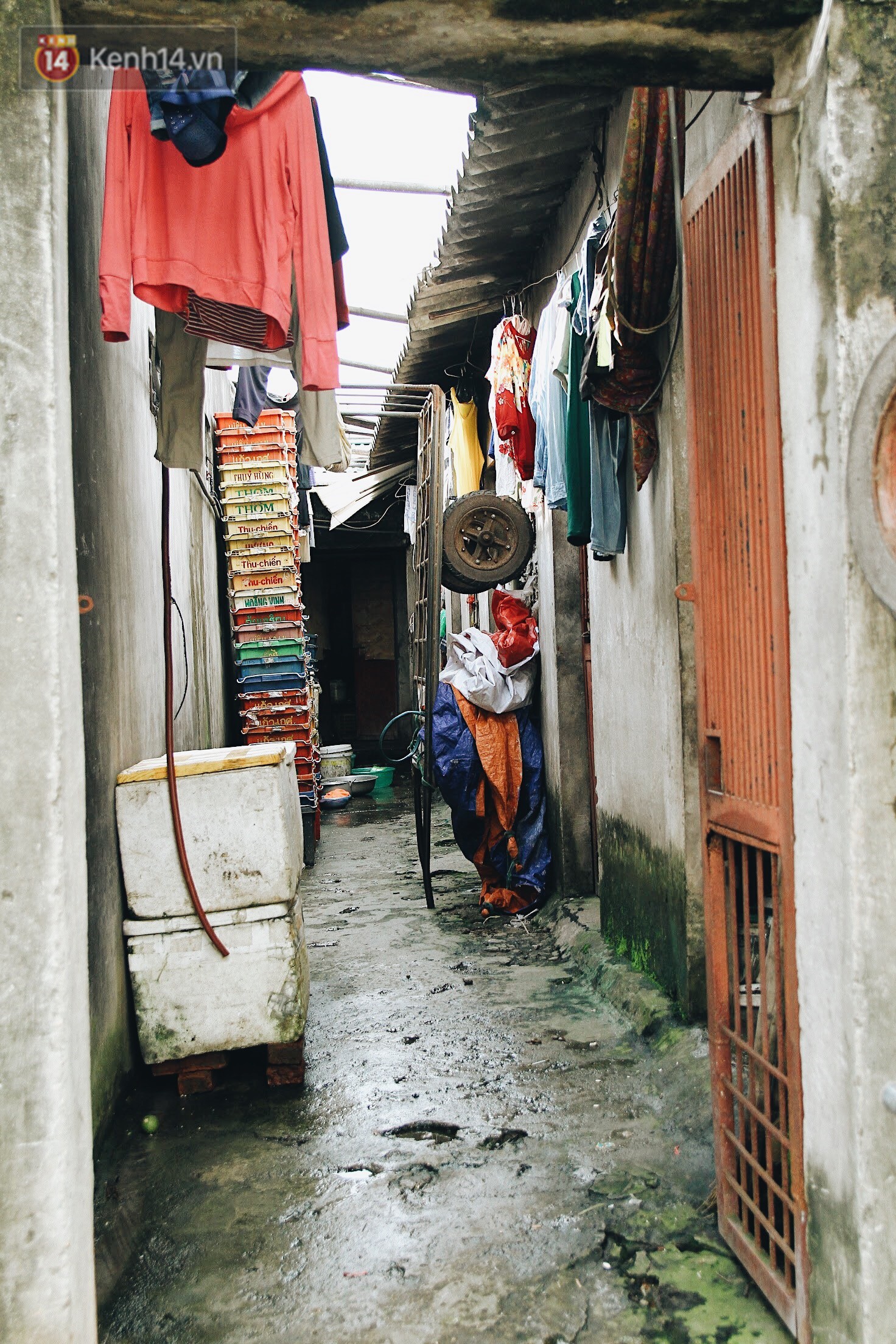 Cuộc sống của dân ngụ cư dưới chân cầu Long Biên: Hễ mở cửa là đón rác vào nhà