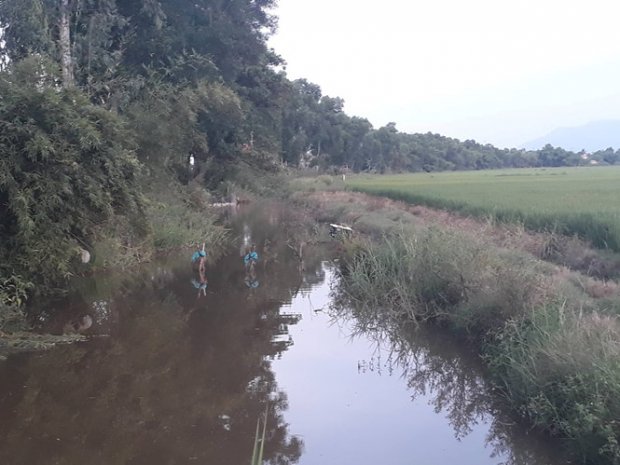 Vụ con trai sát hại cha đẻ vứt xác xuống mương nước gần nhà: Người thân nói gì về nghi phạm?