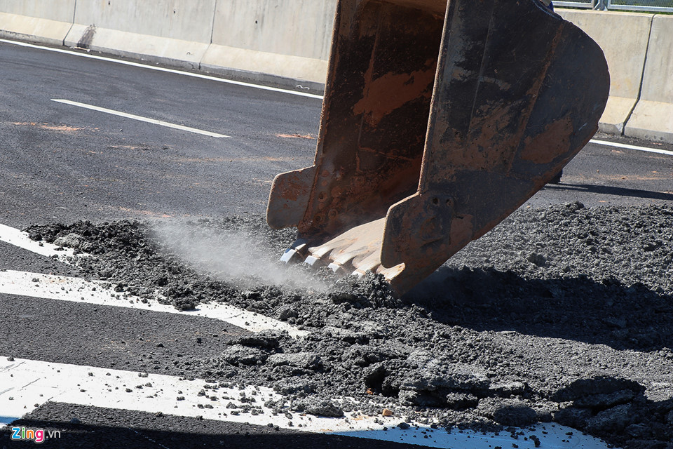 Bò tung tăng trên cao tốc được xây dựng với tốc độ rùa