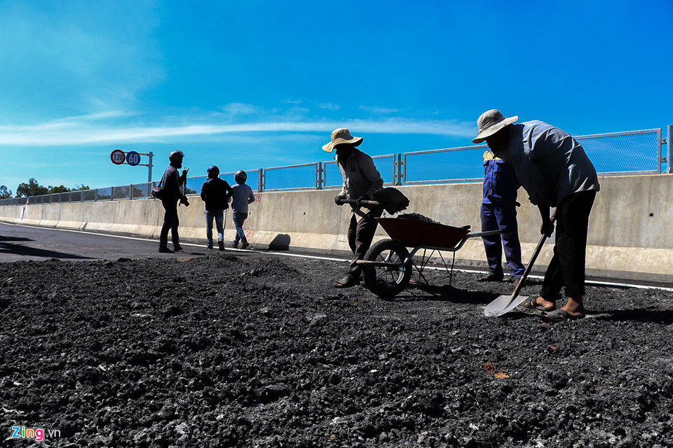 Bò tung tăng trên cao tốc được xây dựng với tốc độ rùa