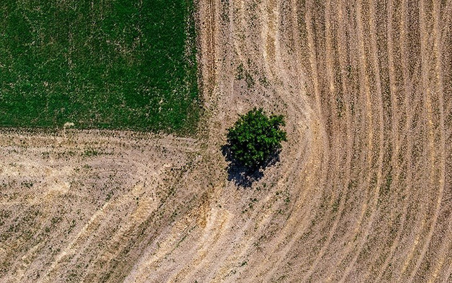 Trăm phương ngàn kế chống chọi nắng nóng kỷ lục trên khắp thế giới