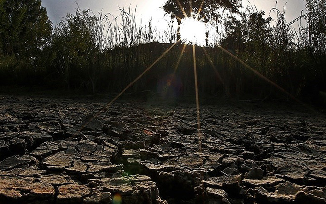 Trăm phương ngàn kế chống chọi nắng nóng kỷ lục trên khắp thế giới