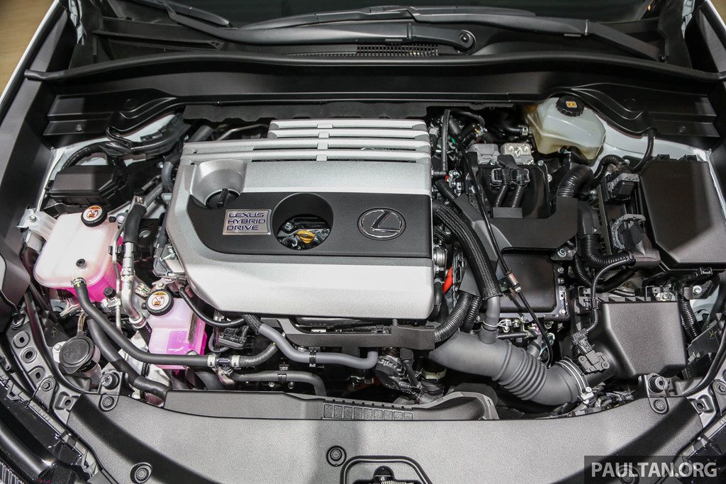 SUV hạng sang cỡ nhỏ Lexus UX 2019 lần đầu đến Đông Nam Á