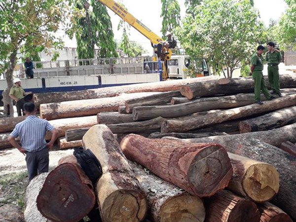 Để lâm tặc chuyển gỗ lậu qua biên giới, nhiều cán bộ bị kỷ luật