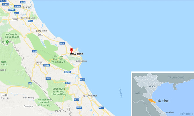 Ôtô tông chết bò, chủ vật nuôi không dám nhận vì sợ bị phạt