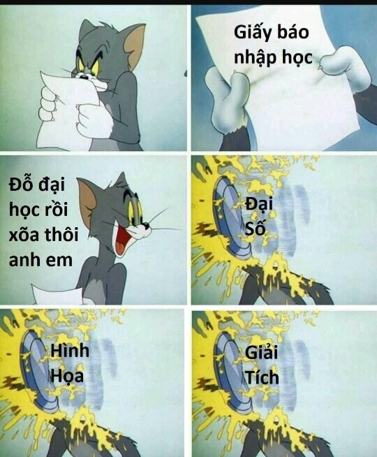 Ảnh chế tân sinh viên vỡ mộng khi bước đến cánh cửa đại học