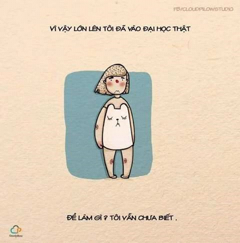 Ảnh chế tân sinh viên vỡ mộng khi bước đến cánh cửa đại học