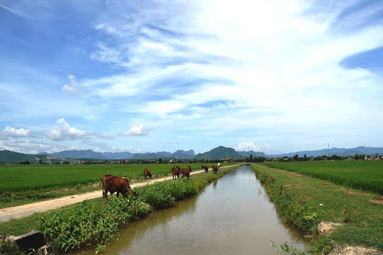 Nhiều khoản phí lạ ở Quảng Bình: Trâu, bò, vịt, máy cày,…ra đồng phải đóng phí