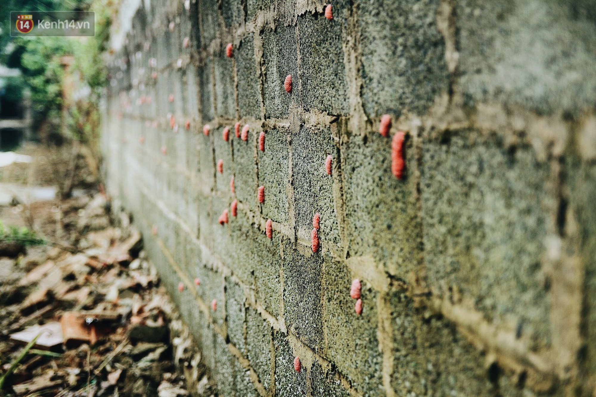 Vui như bà con Chương Mỹ sau trận lũ lịch sử: Mấy đứa cháu được về rồi, nhà cửa rộn ràng hẳn lên!