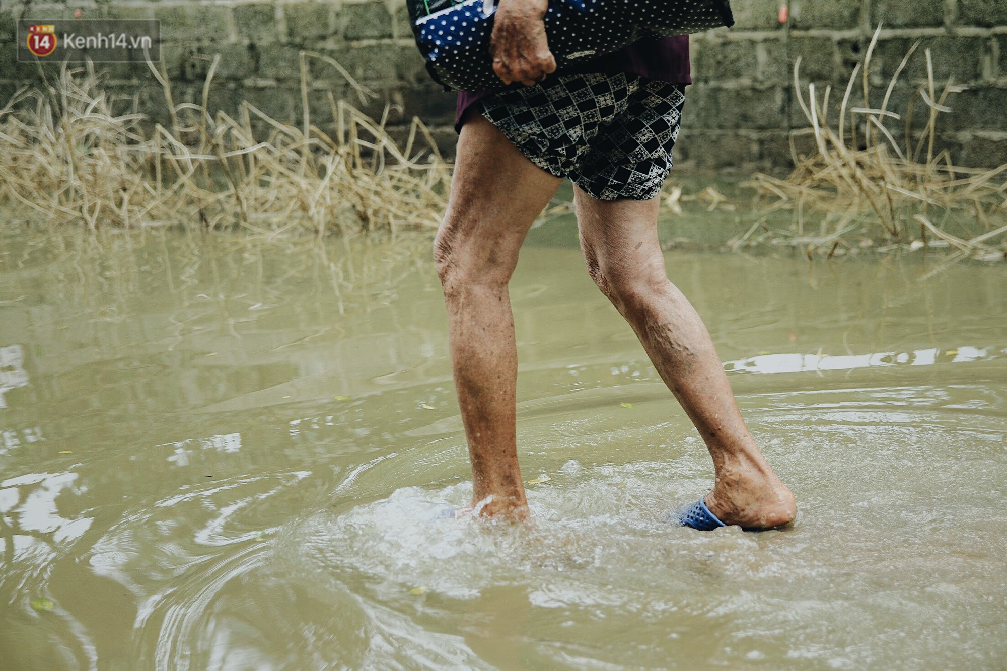 Vui như bà con Chương Mỹ sau trận lũ lịch sử: Mấy đứa cháu được về rồi, nhà cửa rộn ràng hẳn lên!