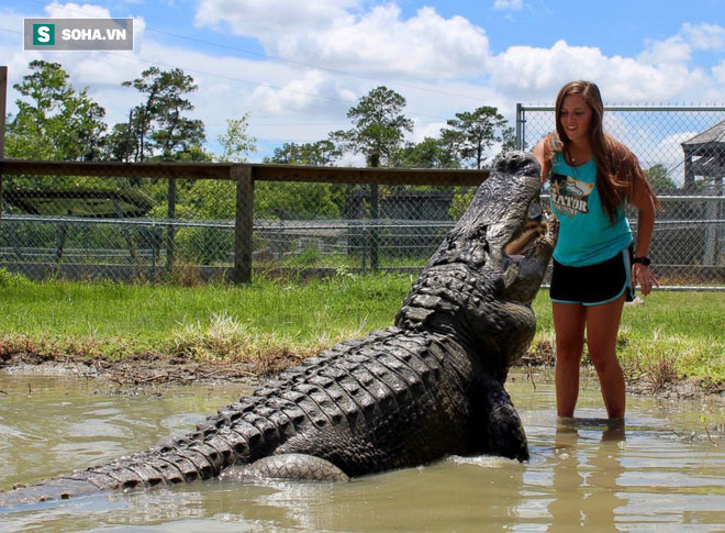Cô gái trẻ ra giữa sông dụ sinh vật khổng lồ, khoảnh khắc xuất hiện ai cũng giật mình