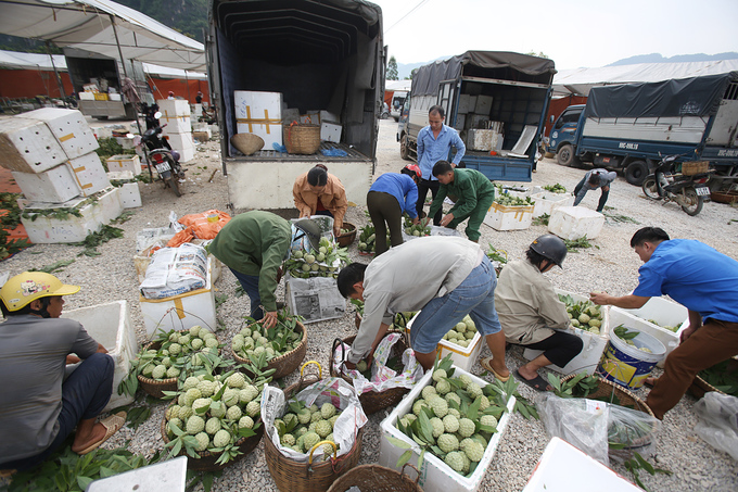 Chợ na vùng biên ải vào vụ