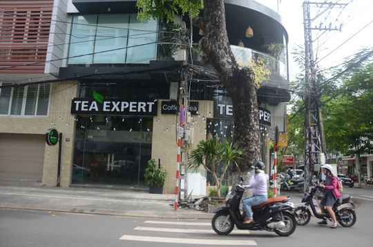 Ông Nguyễn Công Lang góp công cho Vũ nhôm thâu tóm nhà công sản ra sao?