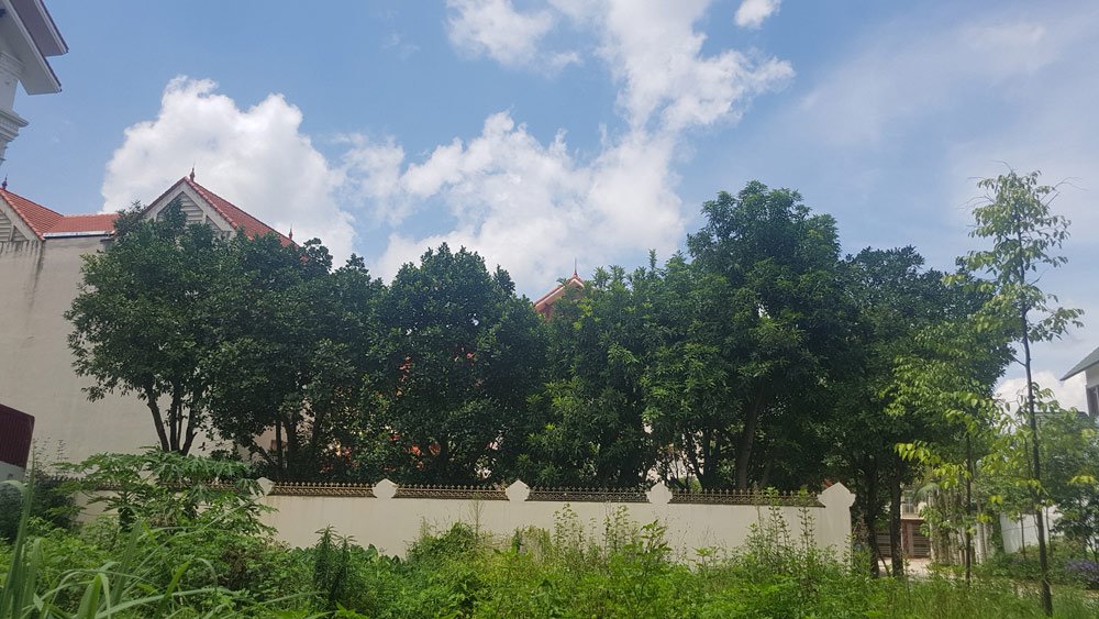 Ngất ngây phố biệt thự triệu đô ở xứ Lạng