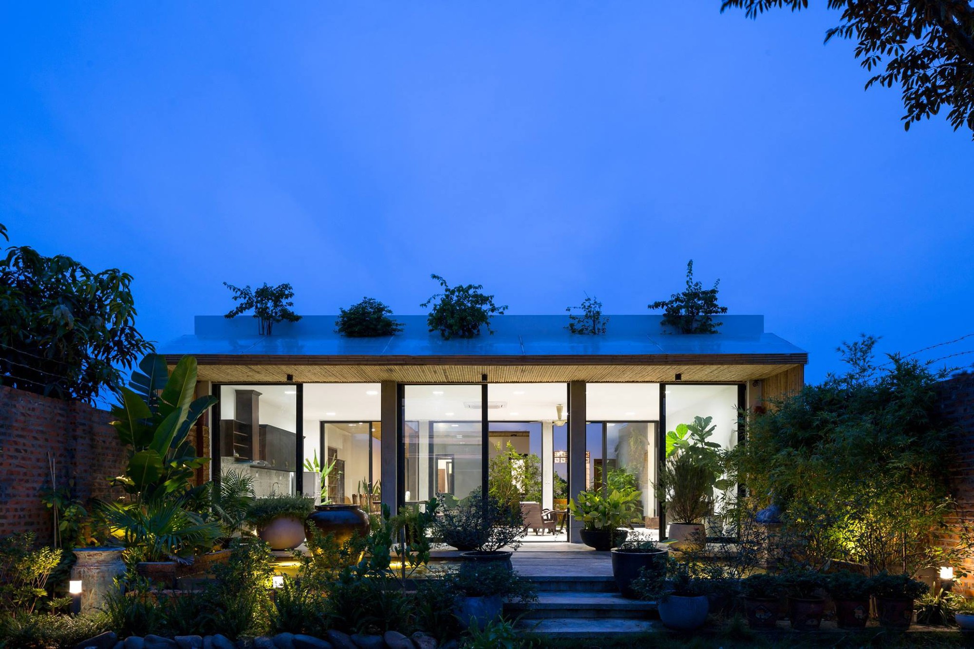 Ngôi nhà cấp 4 chan hòa ánh nắng và cây xanh mang lại vẻ yên bình đến khó tin ở Hà Nội