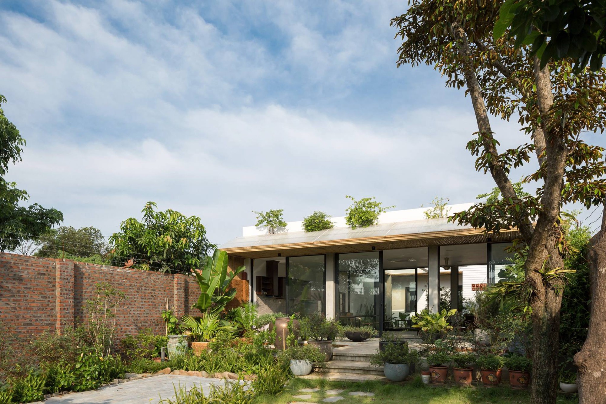 Ngôi nhà cấp 4 chan hòa ánh nắng và cây xanh mang lại vẻ yên bình đến khó tin ở Hà Nội