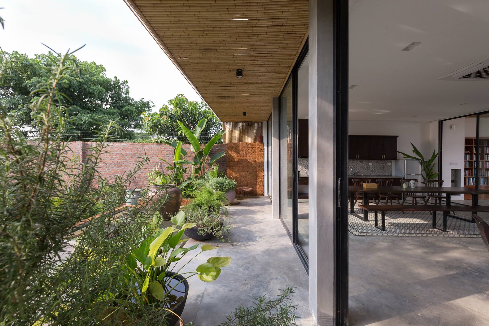 Ngôi nhà cấp 4 chan hòa ánh nắng và cây xanh mang lại vẻ yên bình đến khó tin ở Hà Nội