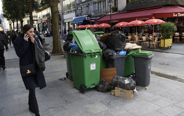 Paris khốn đốn vì chuột đông hơn người