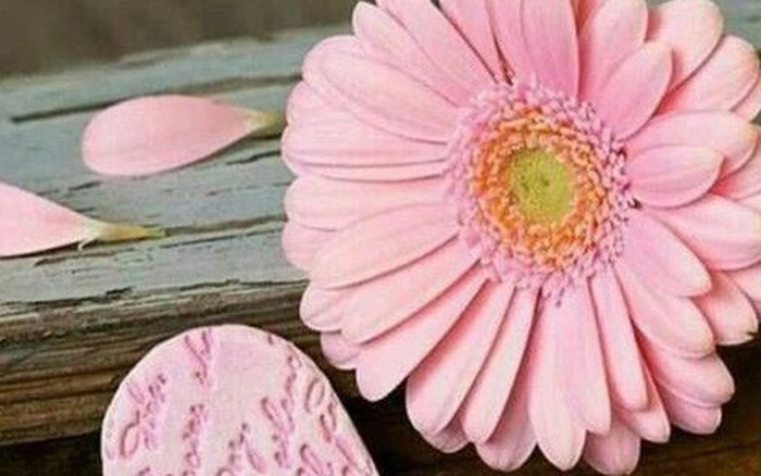 Chủ nhật của bạn (12/8): Kim Ngưu hào phóng với người thân Chủ nhật của bạn (12/8): Kim Ngưu hào phóng với người thân