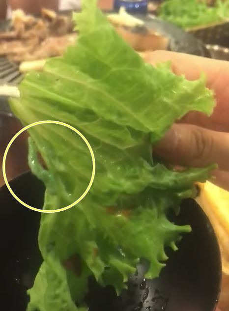 Đang tận hưởng bát bún cá ngon lành, thực khách suýt nghẹn khi nuốt phải chiếc bóng cá kinh dị