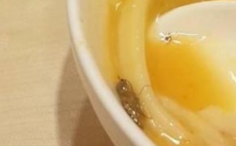 Đang tận hưởng bát bún cá ngon lành, thực khách suýt nghẹn khi nuốt phải chiếc bóng cá kinh dị