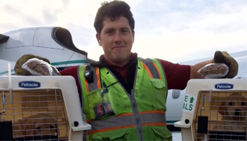 Cuộc sống hạnh phúc của nhân viên Mỹ trước khi ăn cắp máy bay tự sát