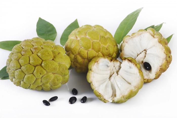 Bà bầu có nên ăn na không?